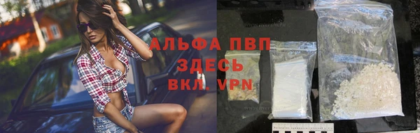 спиды Горняк