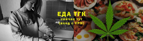 спиды Горняк